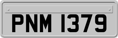 PNM1379