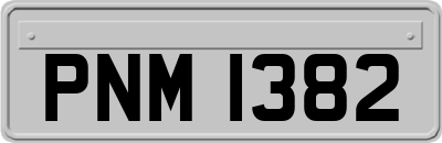 PNM1382