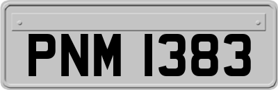 PNM1383