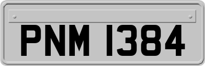PNM1384