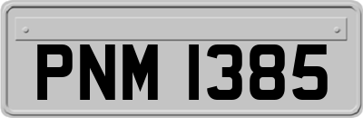 PNM1385