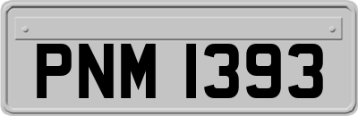 PNM1393