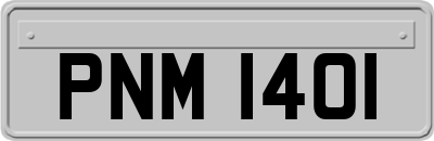 PNM1401