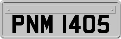 PNM1405