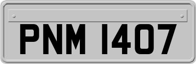 PNM1407