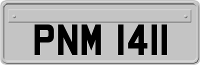 PNM1411