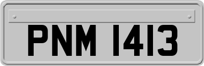 PNM1413