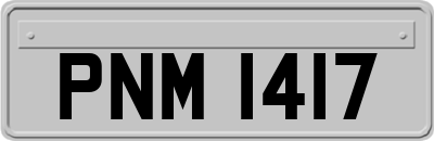 PNM1417