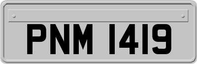 PNM1419