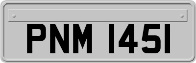 PNM1451