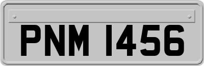 PNM1456