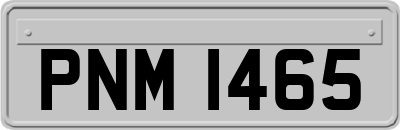 PNM1465