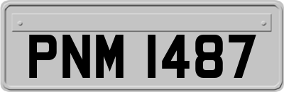 PNM1487