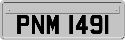 PNM1491
