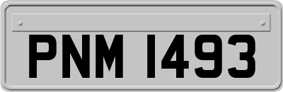PNM1493