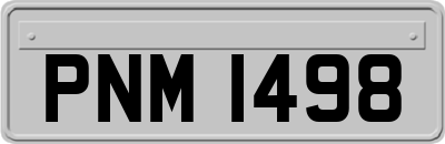 PNM1498