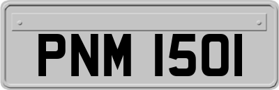 PNM1501