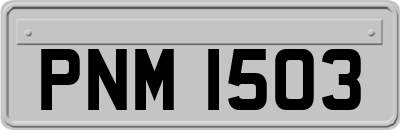PNM1503