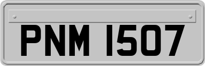 PNM1507