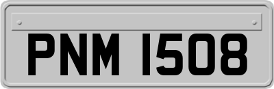 PNM1508