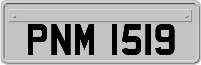 PNM1519