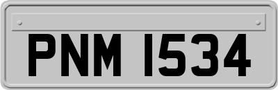 PNM1534