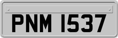 PNM1537