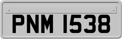 PNM1538