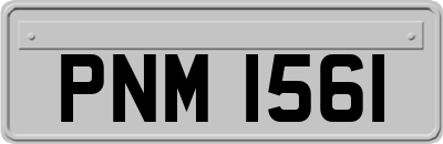 PNM1561