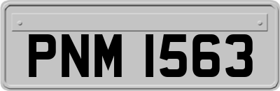 PNM1563