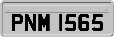 PNM1565