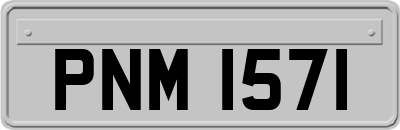 PNM1571