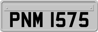 PNM1575