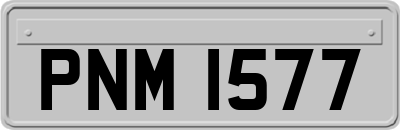 PNM1577