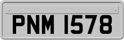 PNM1578