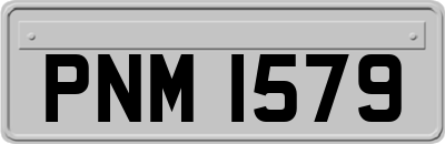 PNM1579
