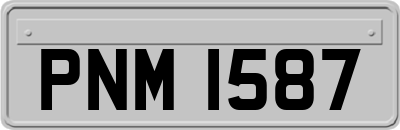 PNM1587