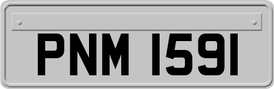 PNM1591