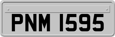 PNM1595