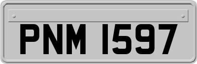 PNM1597