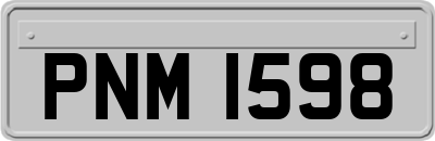 PNM1598