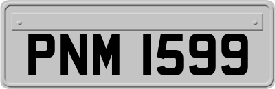 PNM1599