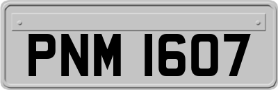 PNM1607