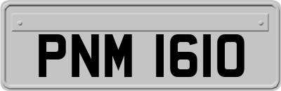 PNM1610