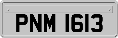 PNM1613