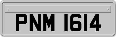 PNM1614