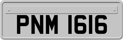 PNM1616