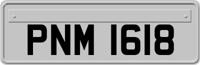 PNM1618
