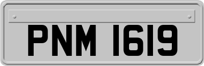 PNM1619