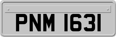 PNM1631